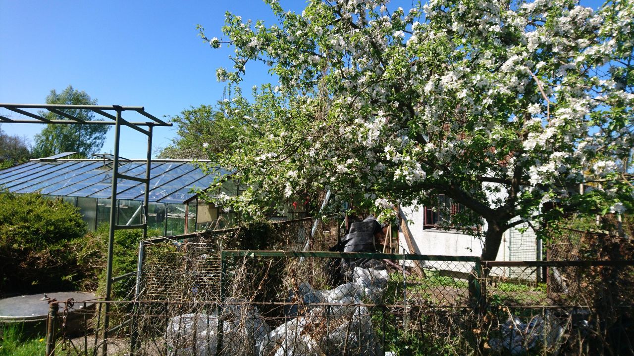 Działka rod Kołobrzeg, ul. 6 Dywizji Piechoty. Zdjęcie 2