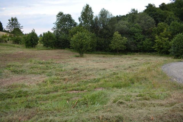 Działka rolno-budowlana Mąkolno. Zdjęcie 1