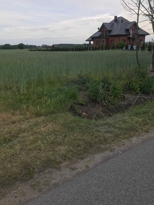 Działka rolno-budowlana Cekanów. Zdjęcie 3