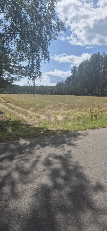 Działka budowlana Kaczka. Zdjęcie 4