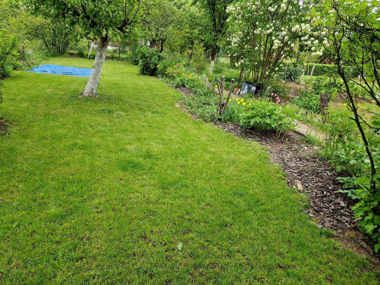 Działka rod Legnica Centrum, ul. Roberta Schumana. Zdjęcie 2