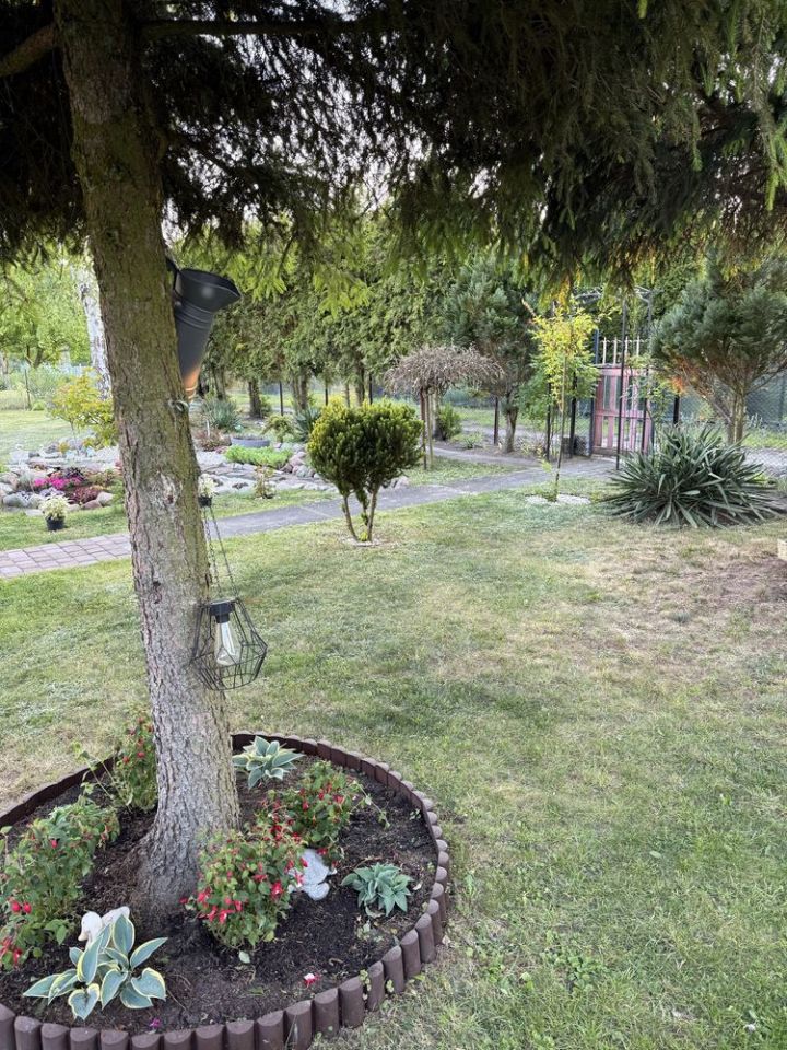 Działka rod Grudziądz, ul. Ludwika Waryńskiego. Zdjęcie 2