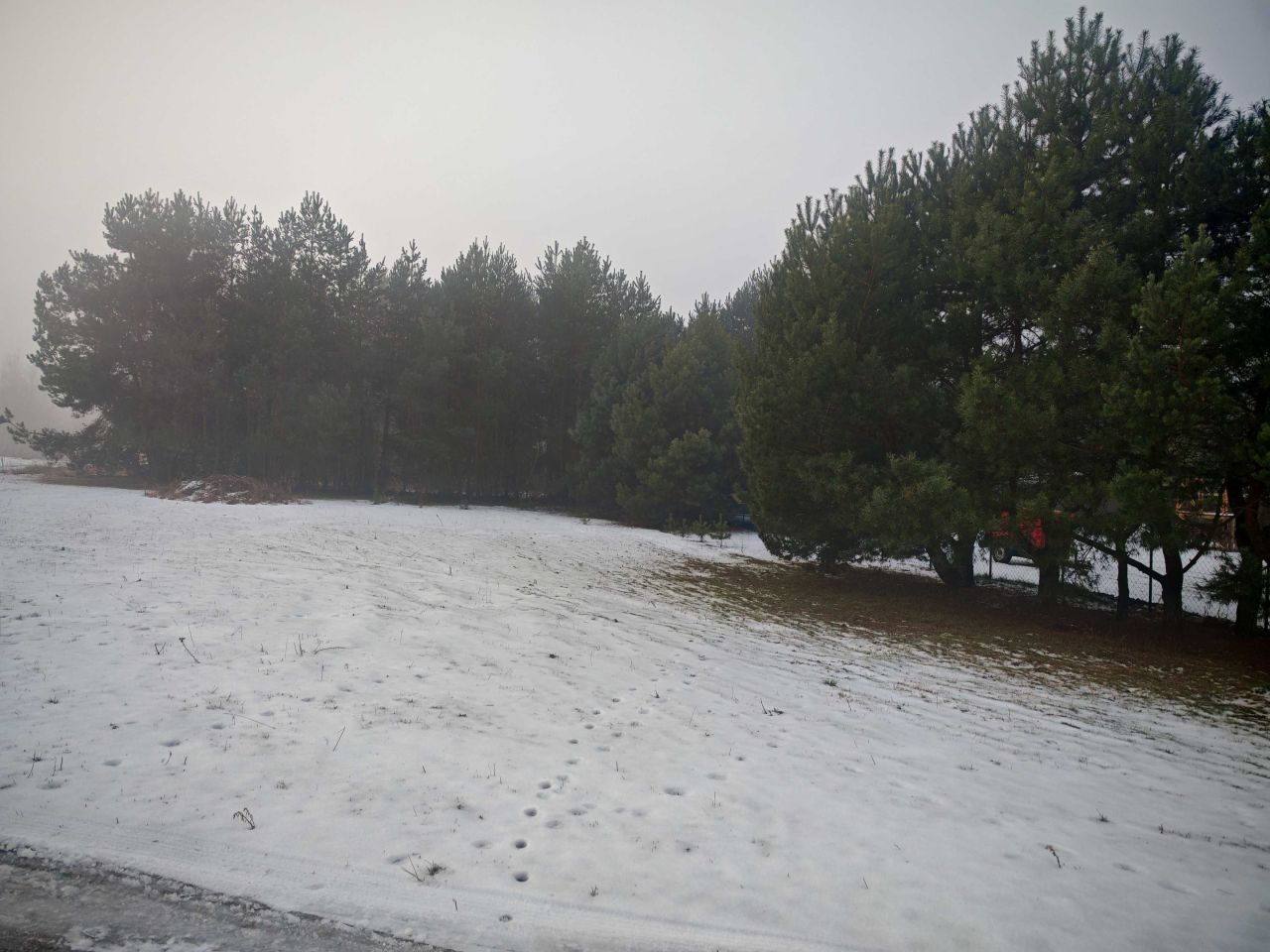 Działka rekreacyjna Izdebno. Zdjęcie 4