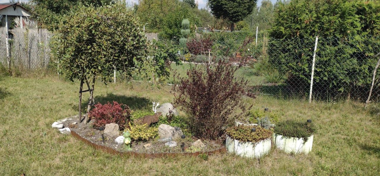 Działka rod Gliwice Ligota Zabrska. Zdjęcie 7