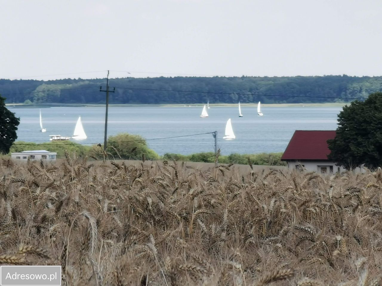Działka rolno-budowlana Powidz, ul. Widokowa. Zdjęcie 14