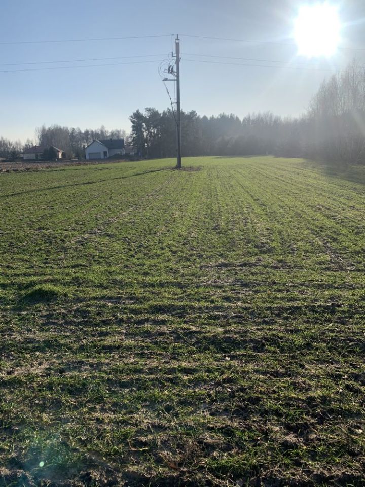 Działka budowlana Wolica. Zdjęcie 5