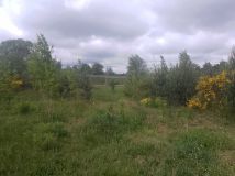 Działka budowlana Benenard. Zdjęcie 3