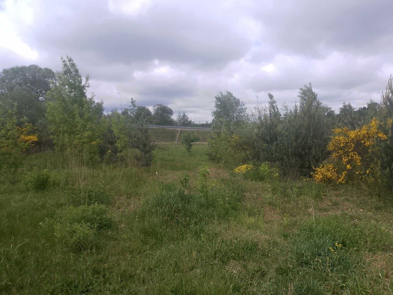 Działka budowlana Benenard. Zdjęcie 4