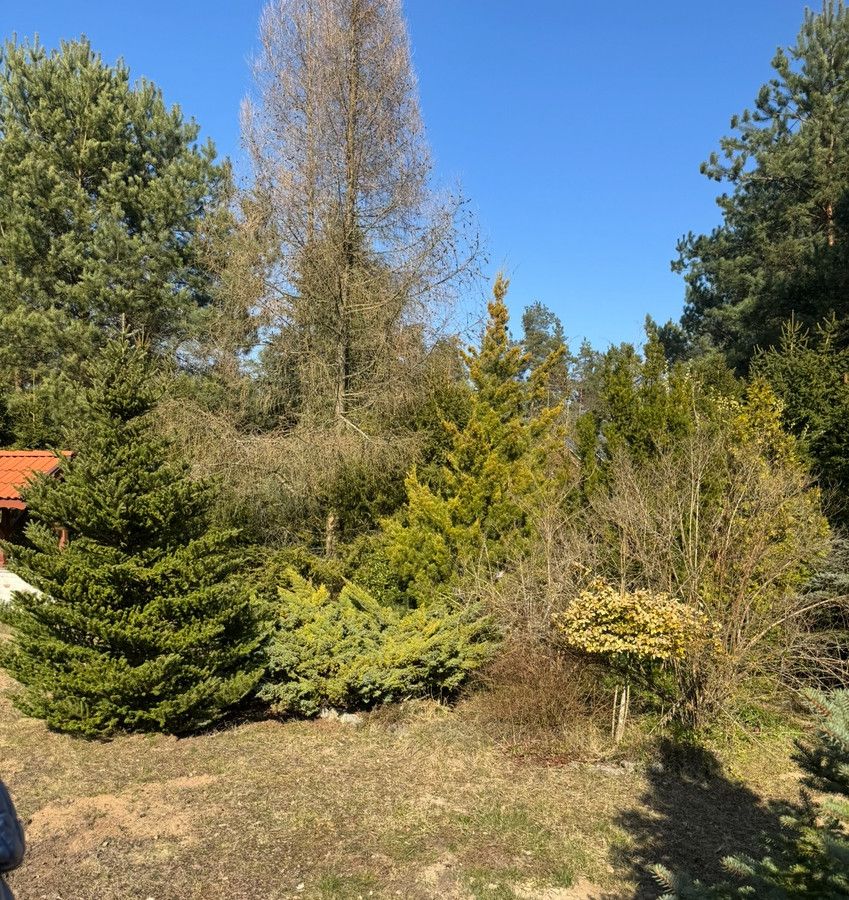 dom wolnostojący, 4 pokoje Winiec. Zdjęcie 10