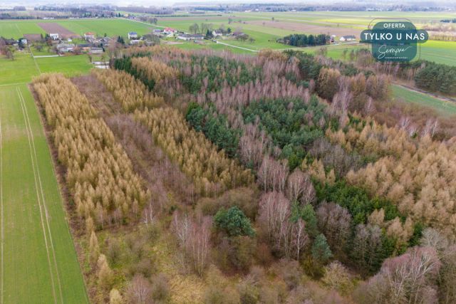 Działka inwestycyjna Paprotnia. Zdjęcie 14