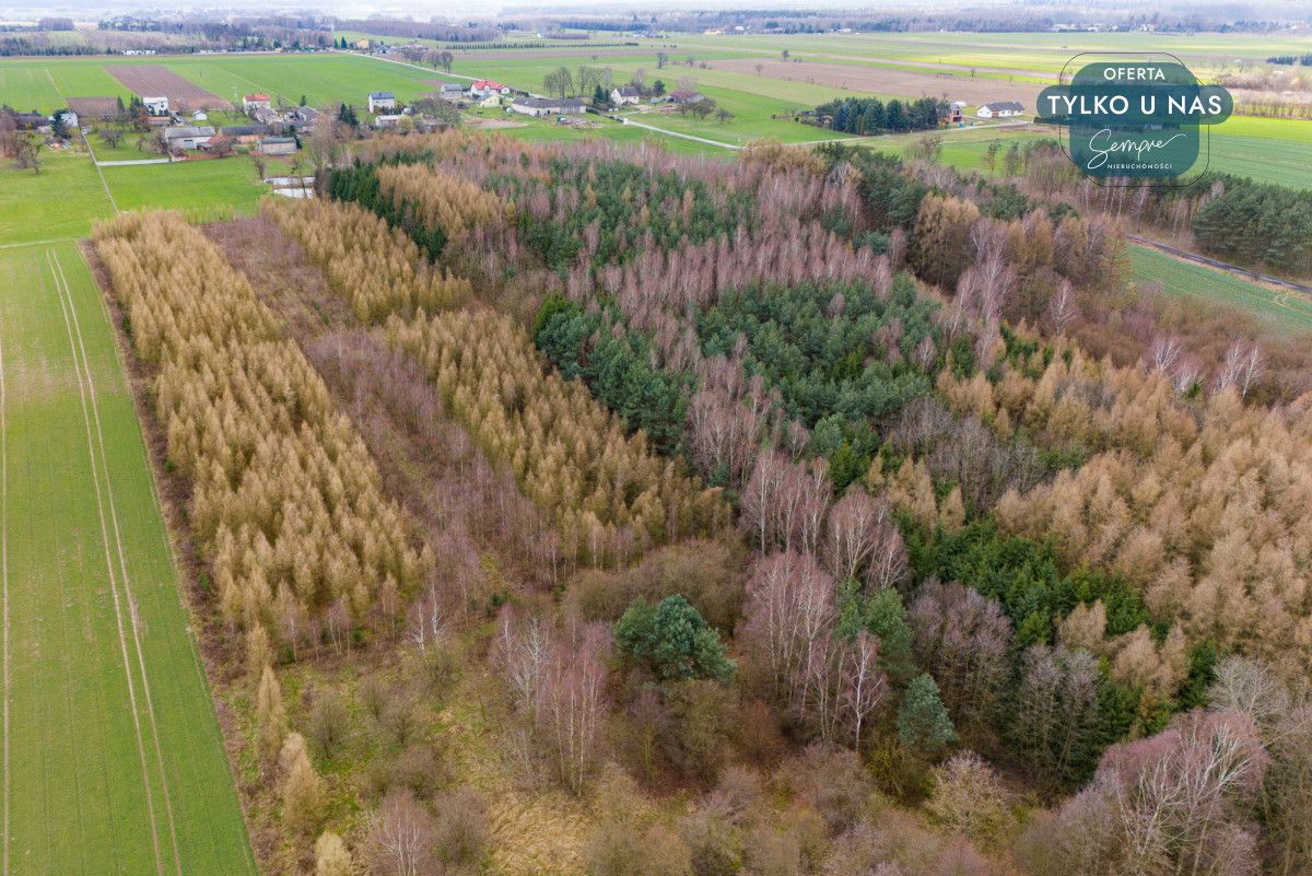 Działka inwestycyjna Paprotnia. Zdjęcie 14