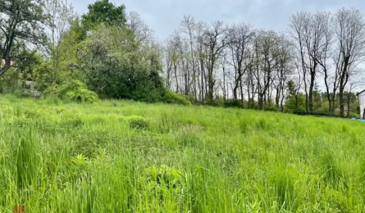 Działka budowlana Bolechowice, ul. Jurajska