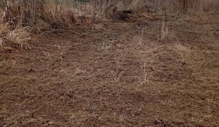 Działka siedliskowa Dubiny, ul. Łąkowa