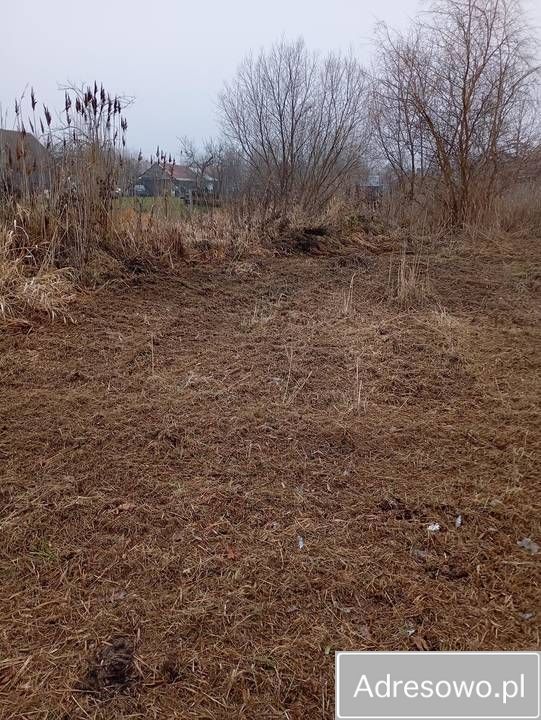 Działka siedliskowa Dubiny, ul. Łąkowa