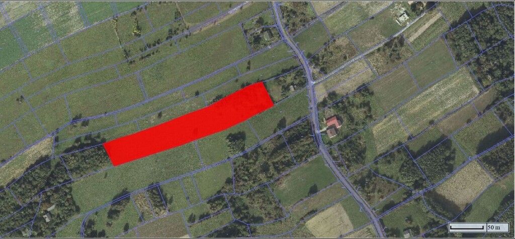 Działka Lubenia. Zdjęcie 5