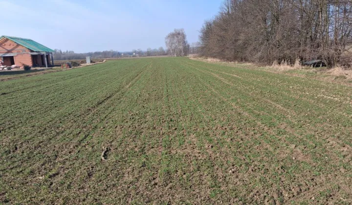 Działka rolno-budowlana Siedlec