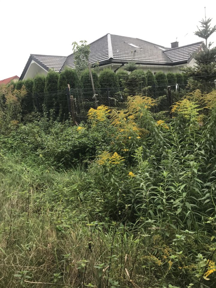 Działka rolno-budowlana Wacyn, ul. Platynowa