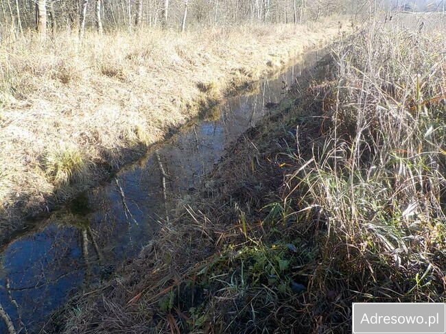 Działka Ludowice. Zdjęcie 7