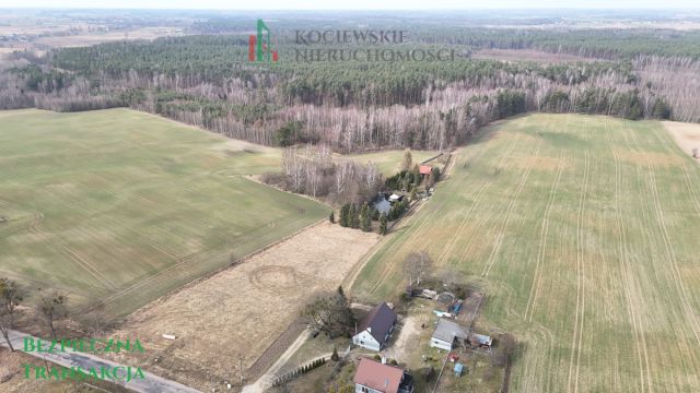 Działka budowlana Czerniki. Zdjęcie 6