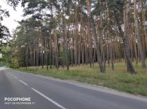 Działka leśna Ruda-Bugaj Bugaj. Zdjęcie 2