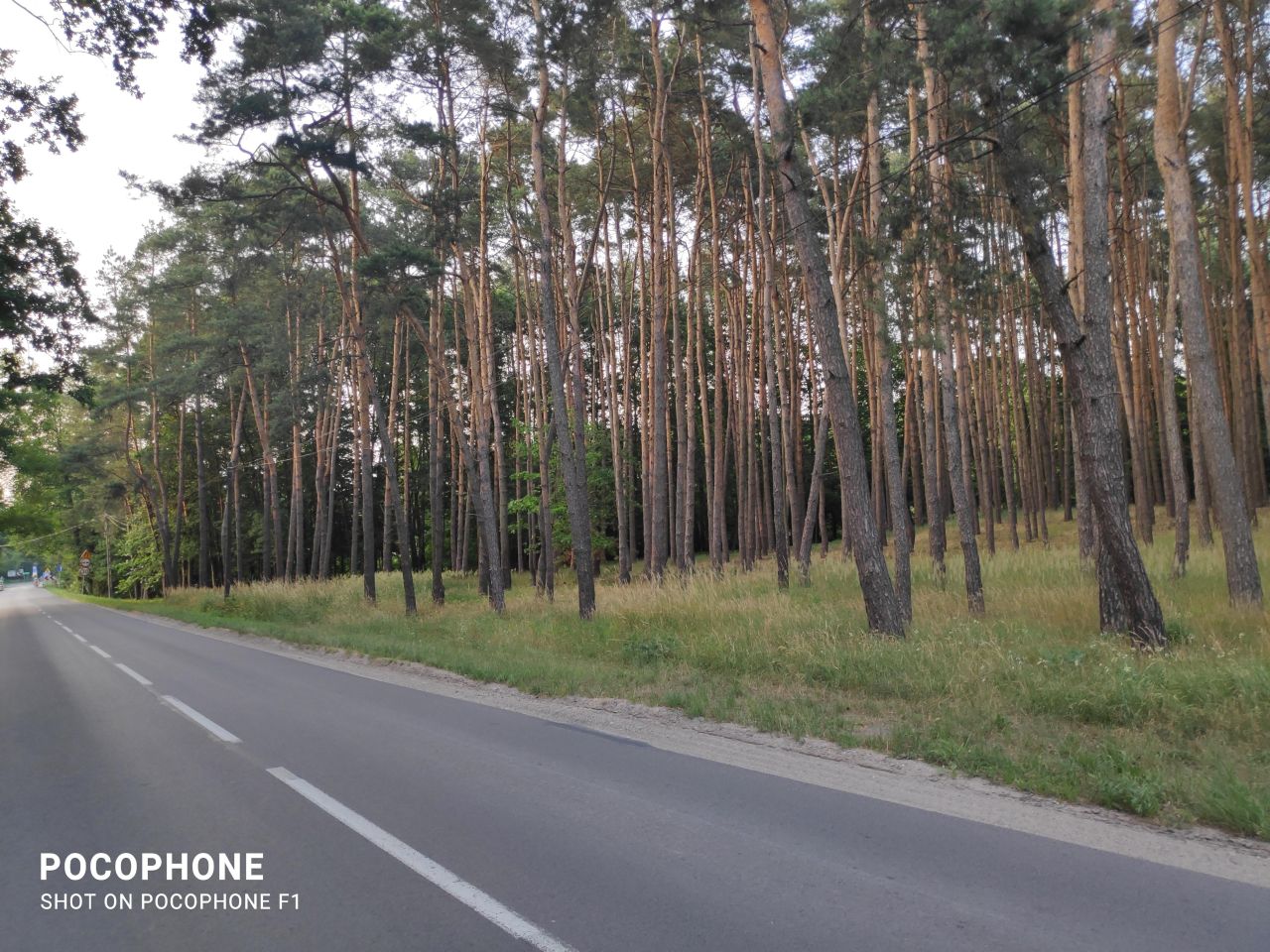 Działka leśna Ruda-Bugaj Bugaj. Zdjęcie 3