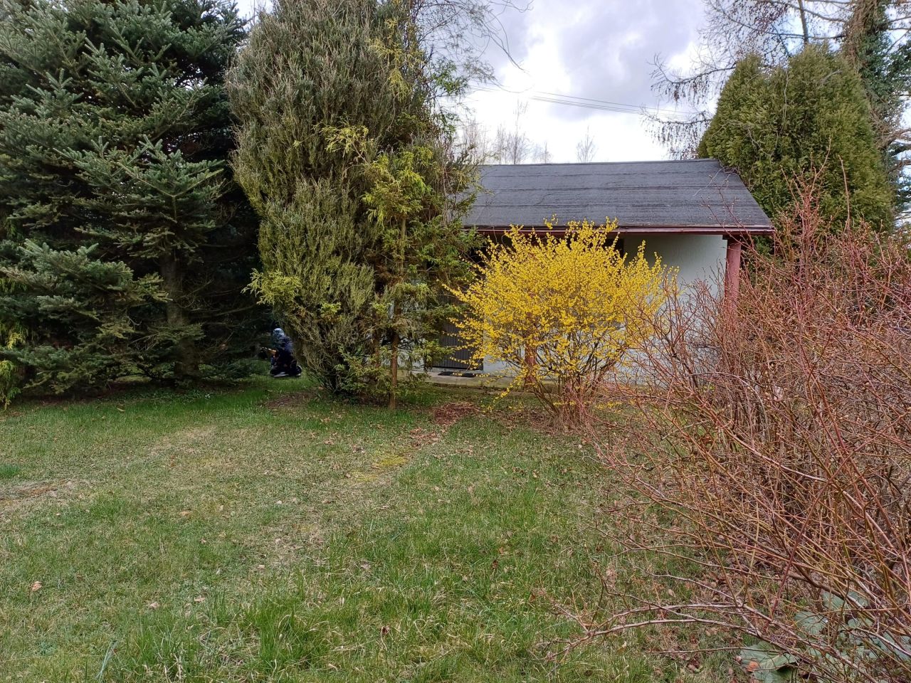 Działka rod Mokra Prawa. Zdjęcie 9