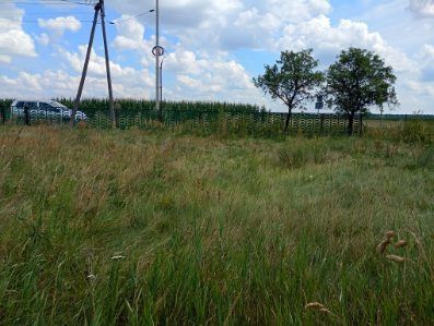 Działka rolno-budowlana Czarnolas Czarnolas-Kolonia. Zdjęcie 4