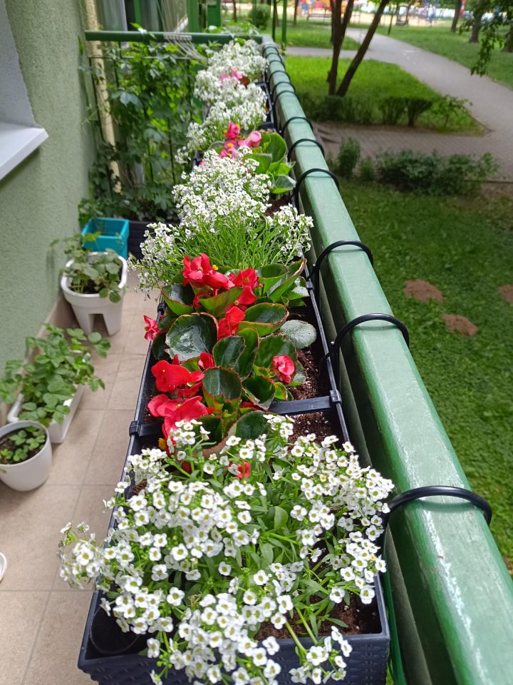 Mieszkanie 3-pokojowe Lublin Czuby, ul. Kaczeńcowa. Zdjęcie 18