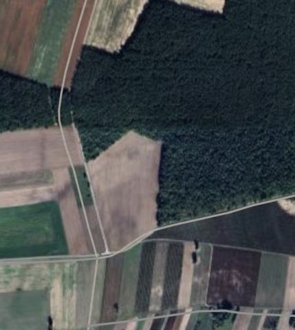 Działka rolna Ławeczko Stare. Zdjęcie 1