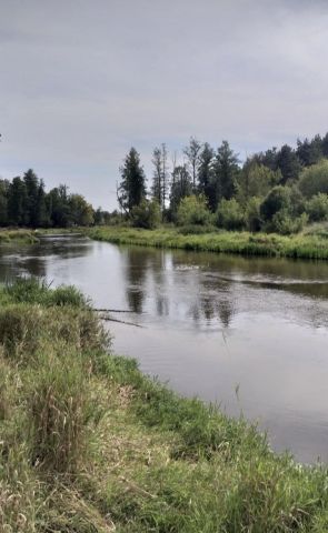 Działka budowlana Kaliska. Zdjęcie 1