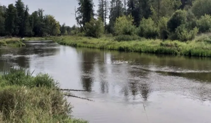 Działka budowlana Kaliska