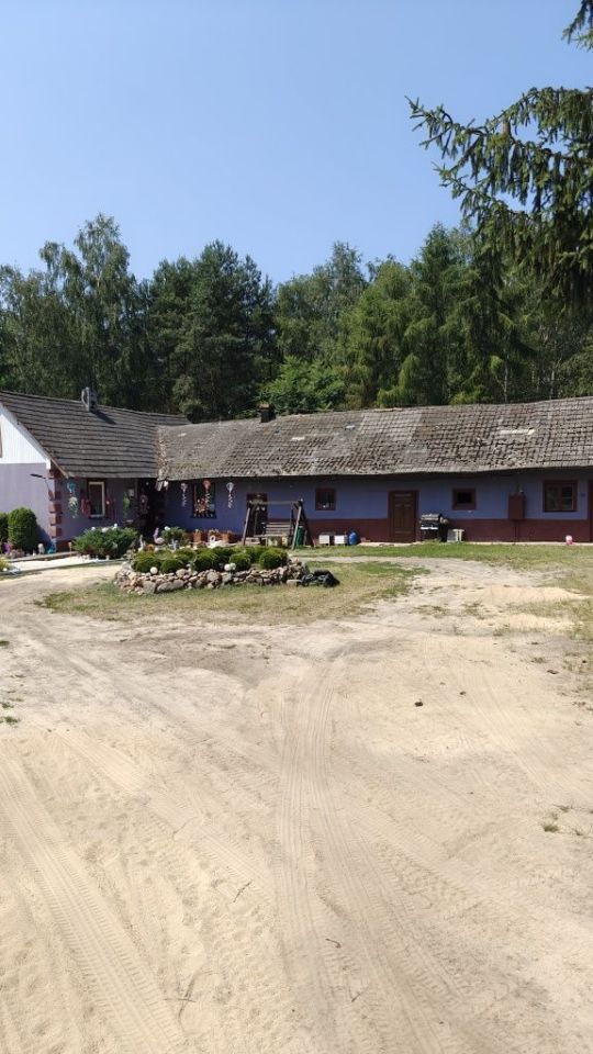 Działka rolno-budowlana Mstyczów. Zdjęcie 8