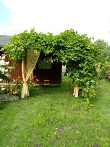 Działka rekreacyjna Olsztyn, ul. Jagiellońska. Zdjęcie 1