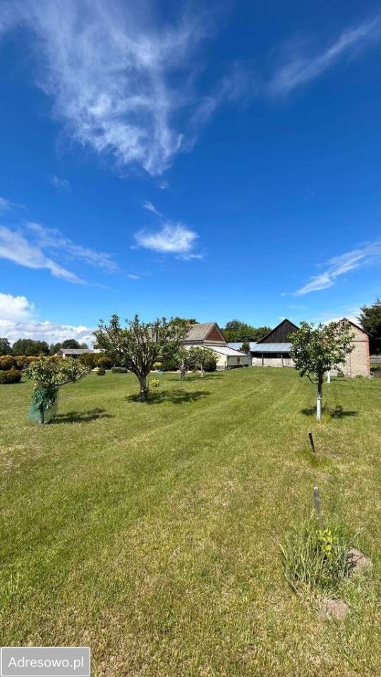 gospodarstwo, 3 pokoje Jeleń. Zdjęcie 7