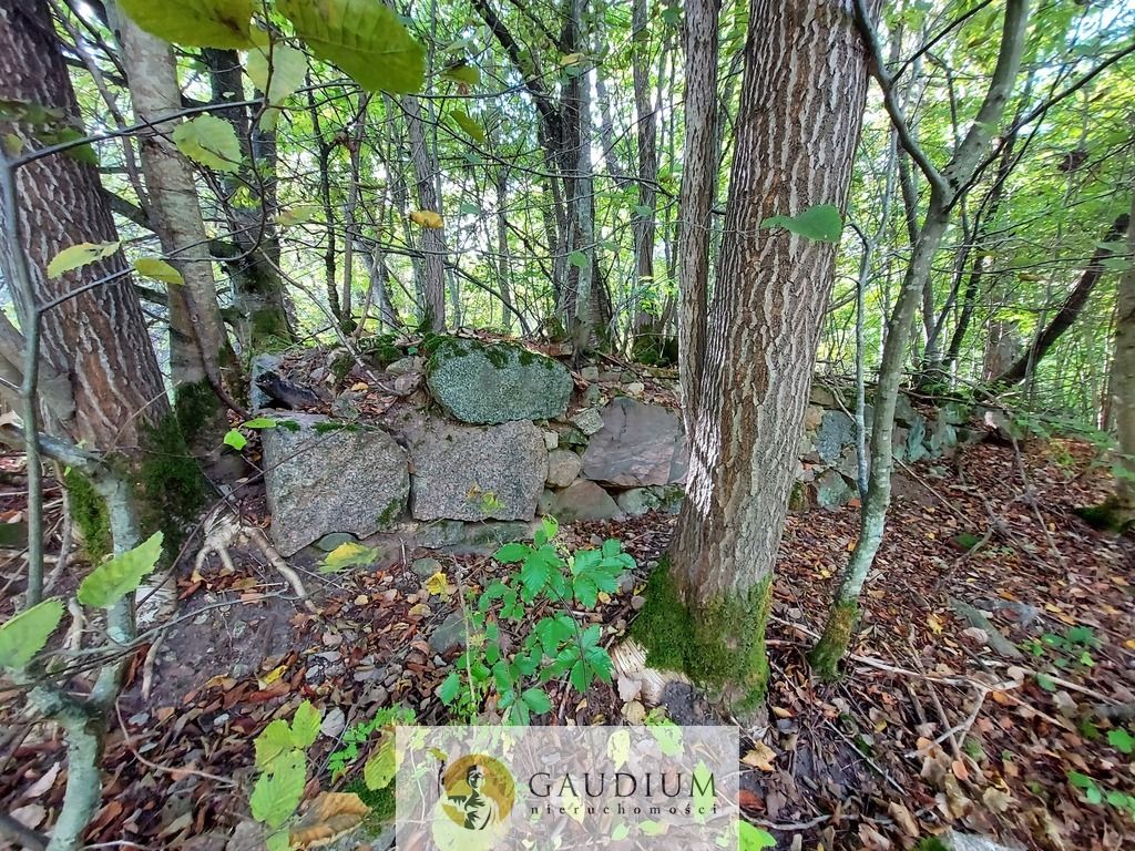 Działka Kobysewo, ul. Klasztorna. Zdjęcie 9