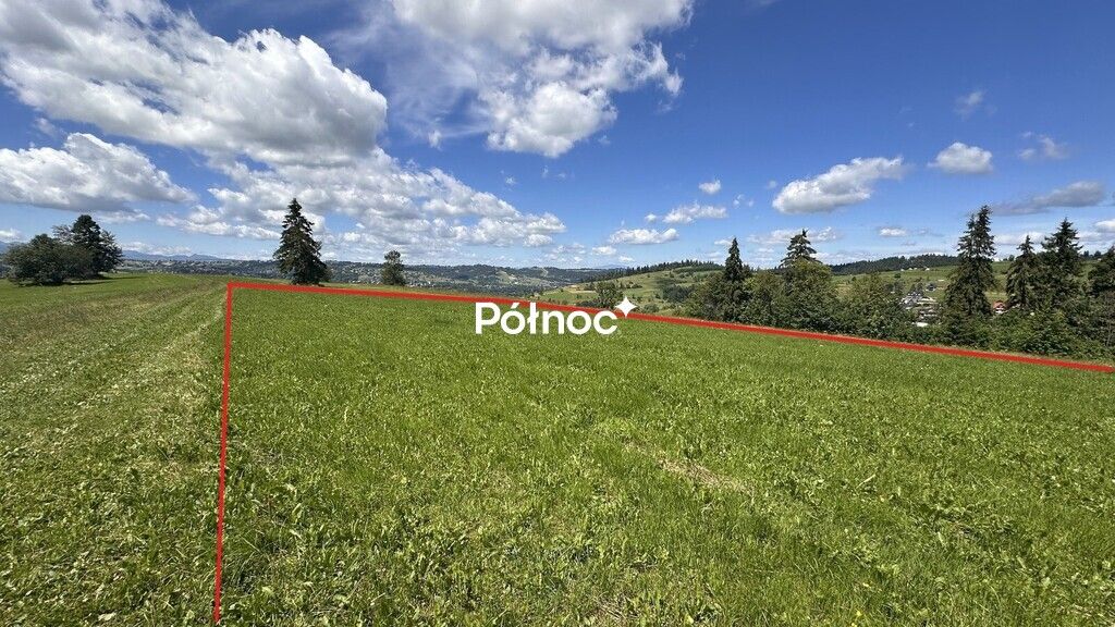 Działka rolna Rzepiska. Zdjęcie 3