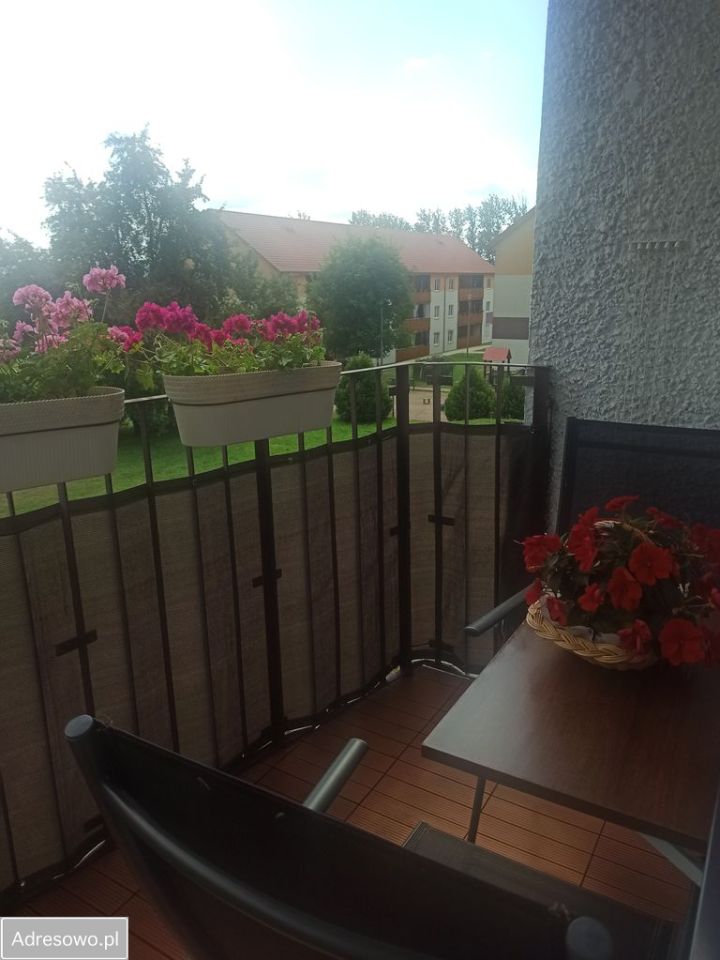 Mieszkanie 2-pokojowe Kłodzko, ul. Spółdzielcza. Zdjęcie 18