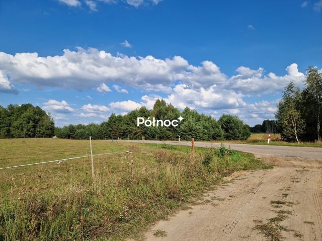 Działka leśna Krynickie. Zdjęcie 18
