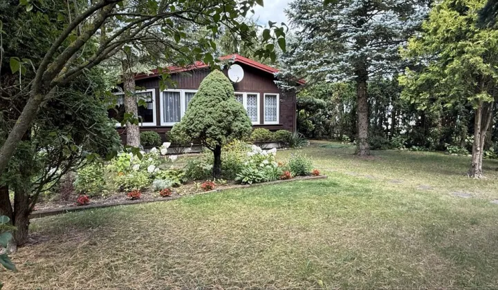 Działka rod Kamieńczyk