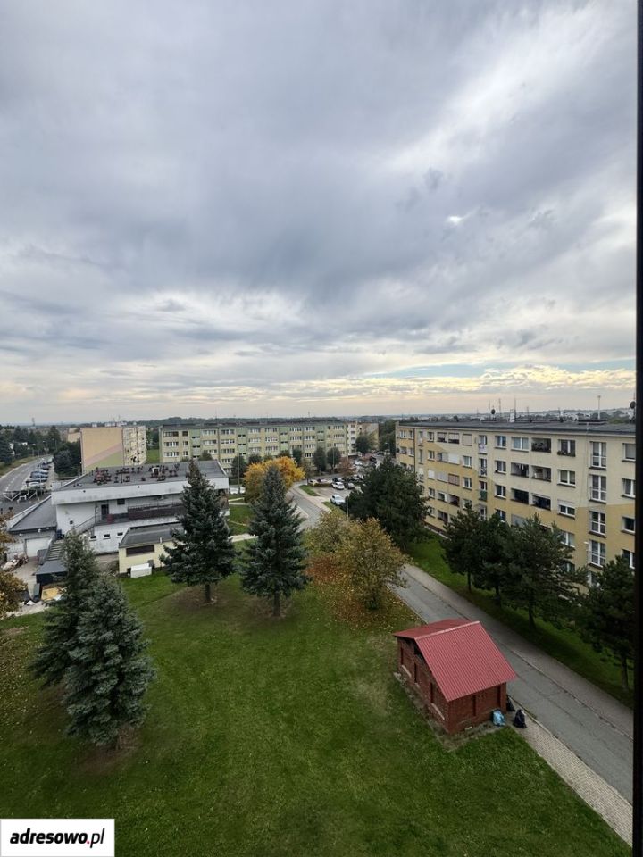 Mieszkanie 3-pokojowe Brzeg Dolny. Zdjęcie 2