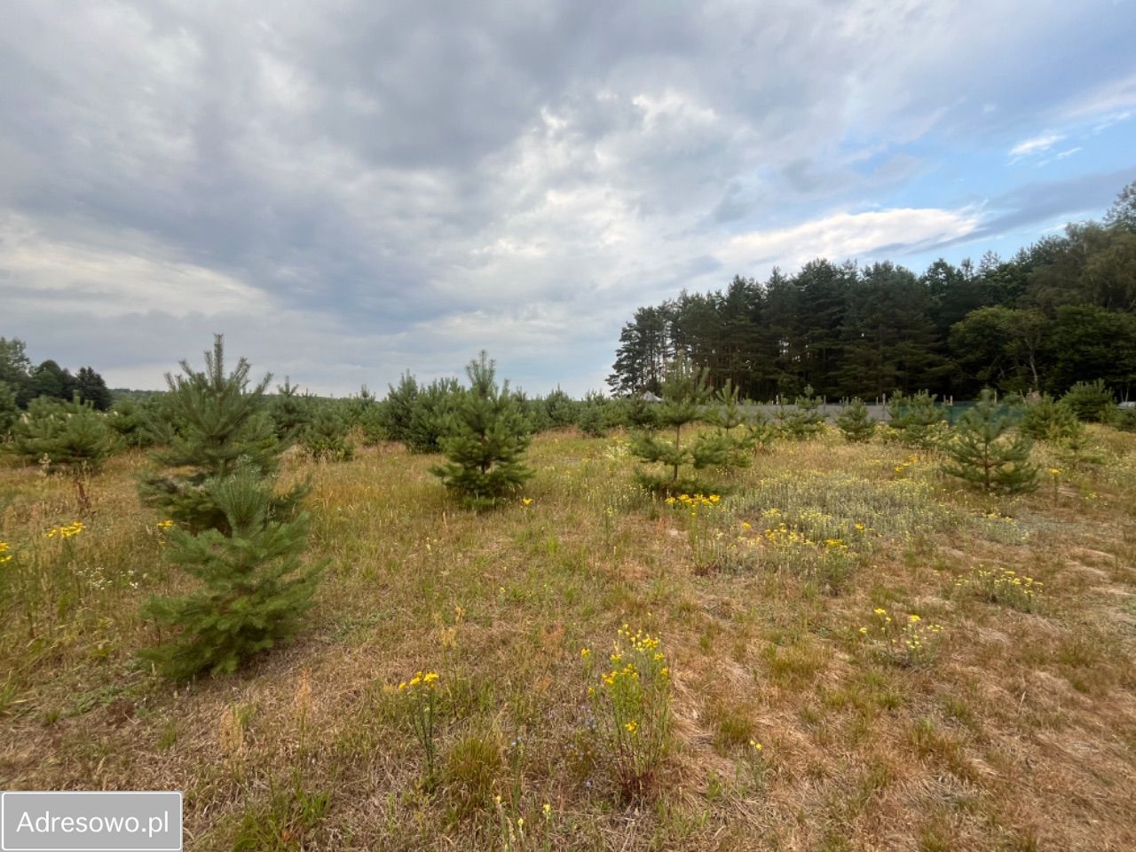 Działka budowlana Wólka-Przedmieście. Zdjęcie 5