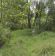 Działka rolna Kromnów. Zdjęcie 6