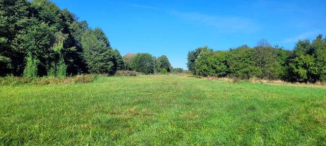 gospodarstwo Głowaczów, ul. Stromiecka. Zdjęcie 20