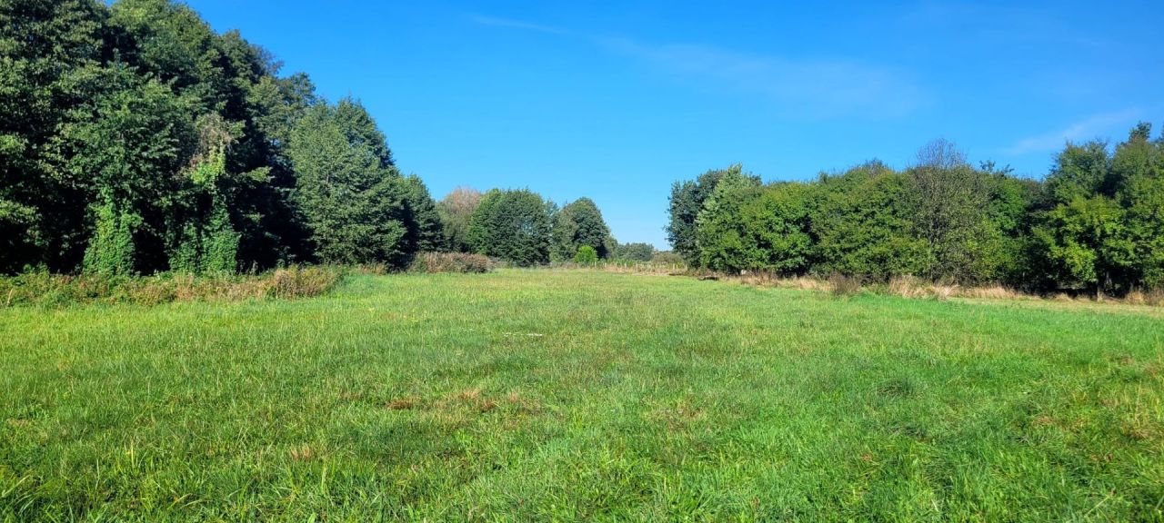 gospodarstwo Głowaczów, ul. Stromiecka. Zdjęcie 20