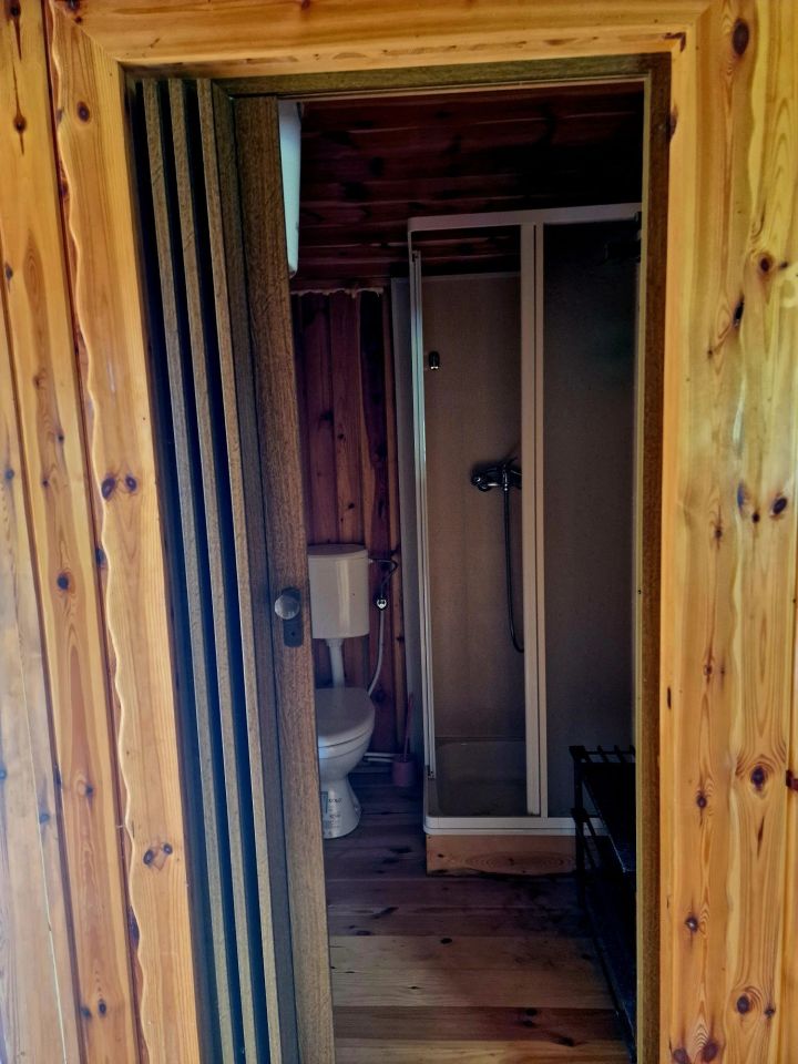 Działka budowlana Borowe. Zdjęcie 2