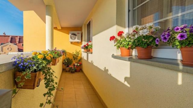 Mieszkanie 2-pokojowe Elbląg, ul. 3 Maja. Zdjęcie 11