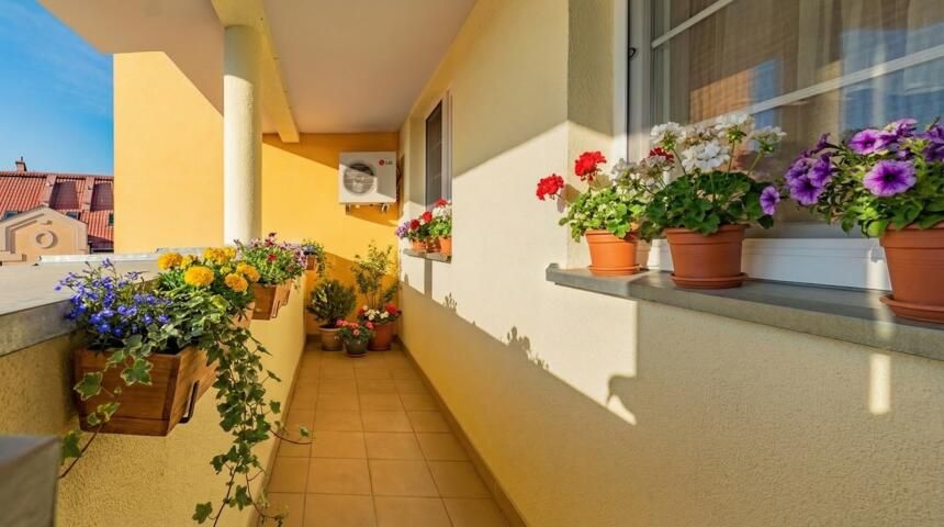 Mieszkanie 2-pokojowe Elbląg, ul. 3 Maja. Zdjęcie 11