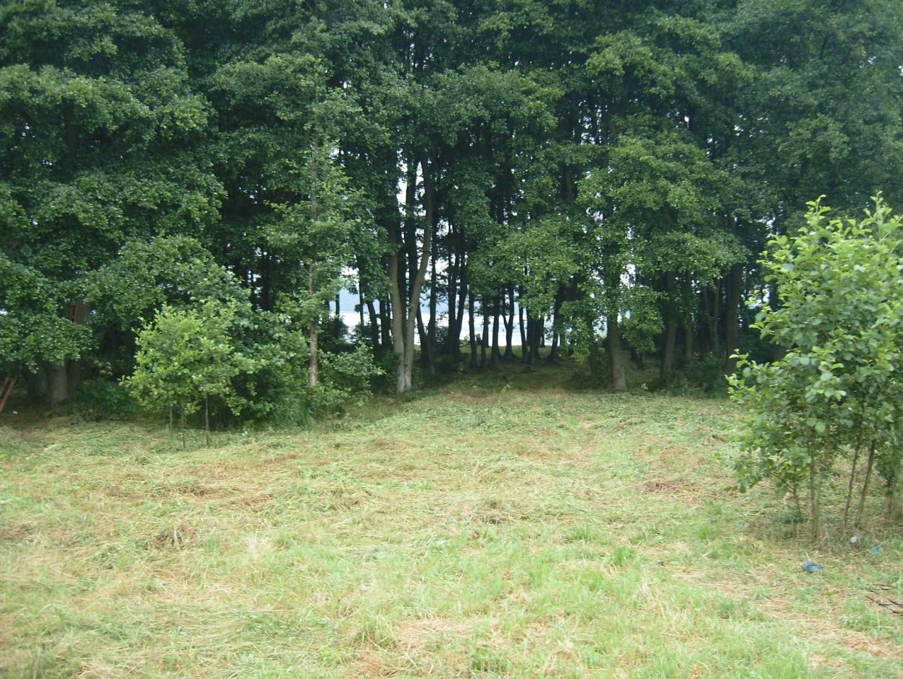 Działka rekreacyjna Łazice. Zdjęcie 1