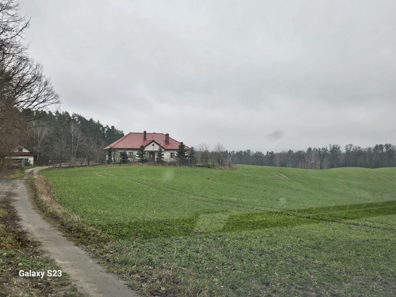 dom wolnostojący Słonecznik. Zdjęcie 2