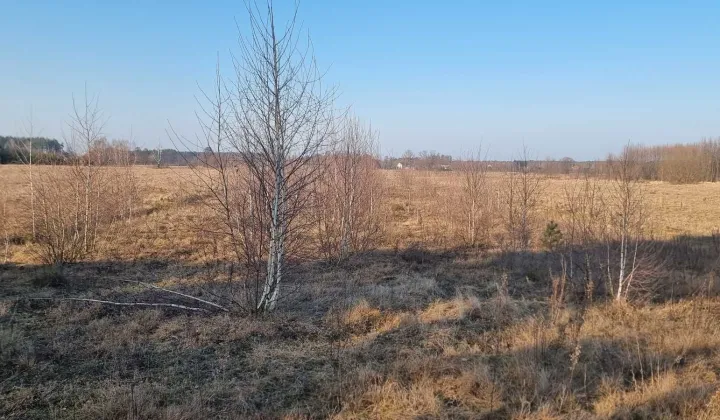 Działka rolno-budowlana Deskurów, ul. Wspólna